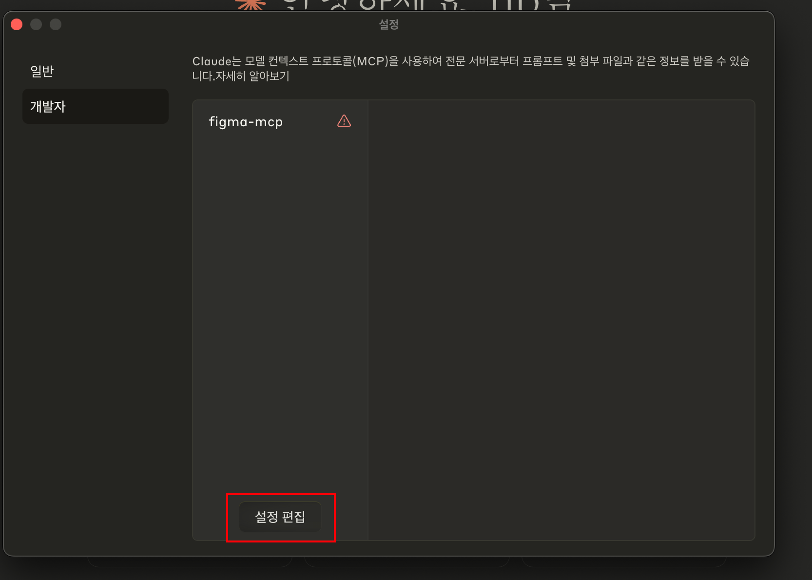 개발자 탭